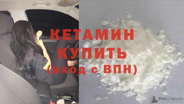 индика Аркадак