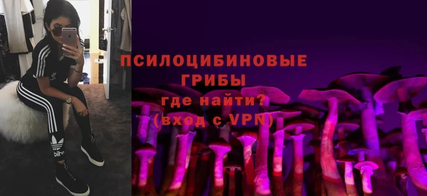 герыч Арсеньев