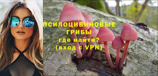 герыч Арсеньев