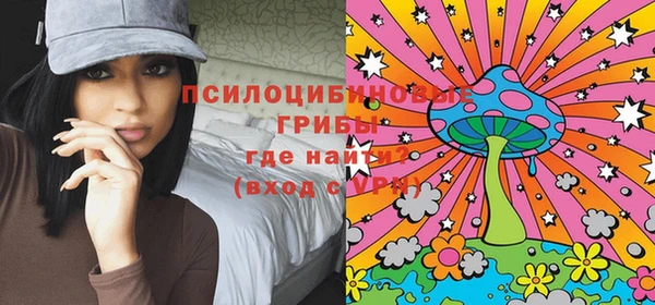 индика Аркадак