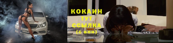 индика Аркадак