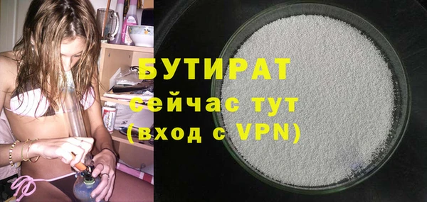 индика Аркадак