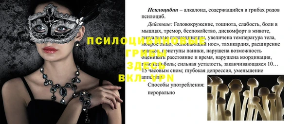 индика Аркадак