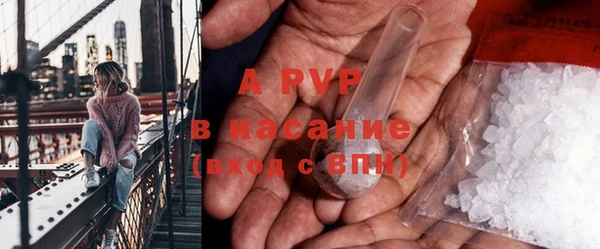индика Аркадак