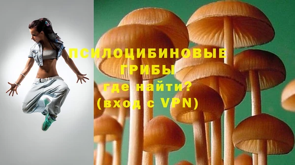 индика Аркадак