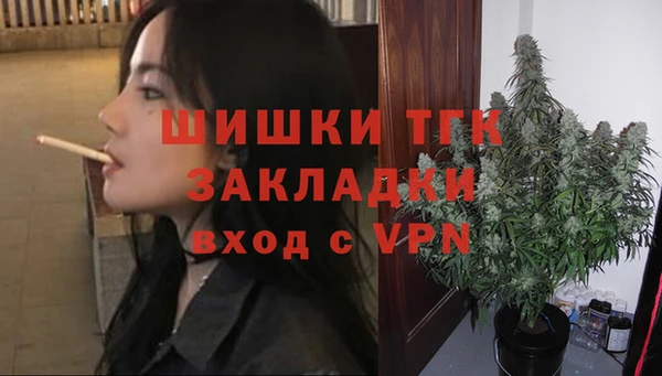 индика Аркадак