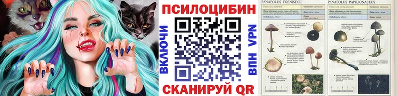 Псилоцибиновые грибы GOLDEN TEACHER  Белая Холуница 